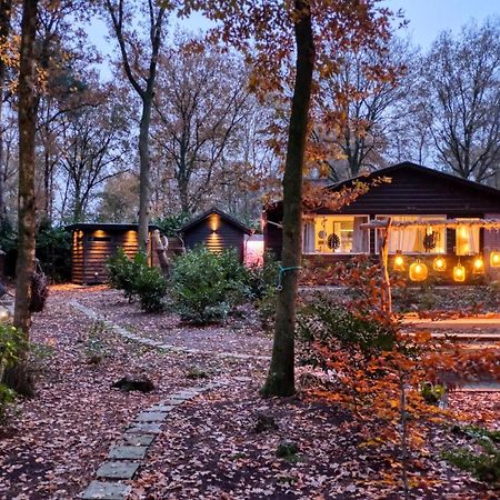 Lodge In Een Bosrijke Omgeving Met Hottub & Sauna Opt Rheezerveen エクステリア 写真
