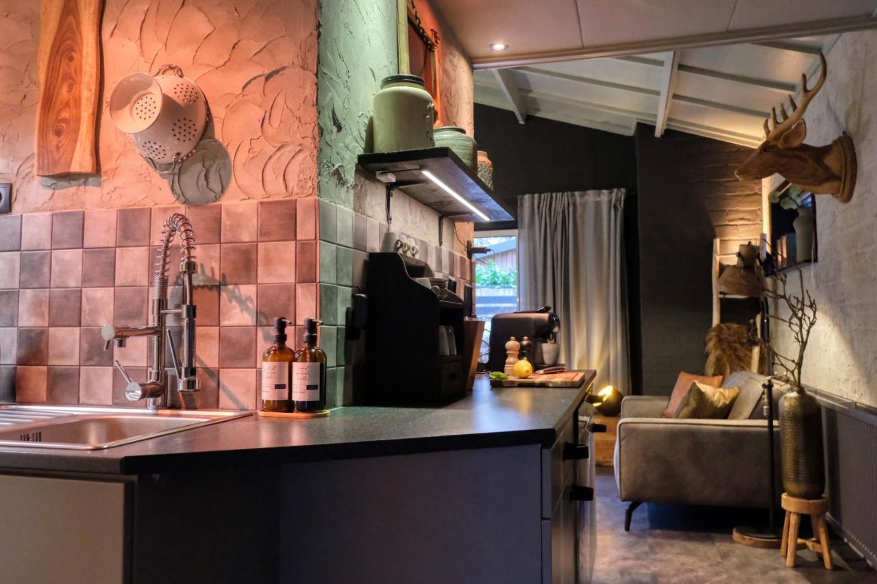Lodge In Een Bosrijke Omgeving Met Hottub & Sauna Opt Rheezerveen エクステリア 写真